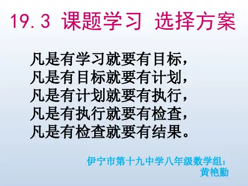 19.3 课题学习 选择方案 (2)