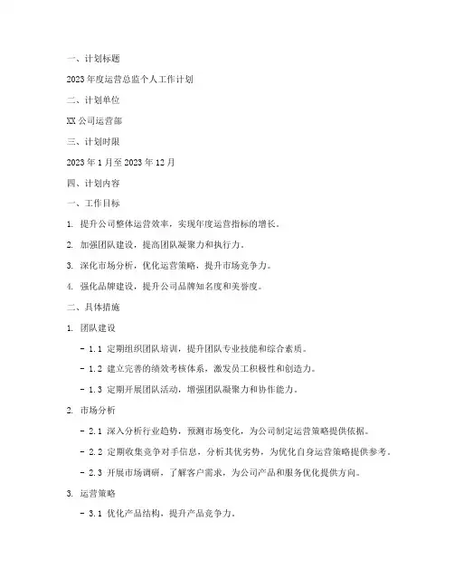 运营总监个人工作计划范文