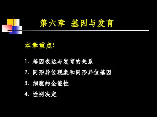 遗传学第六章基因与发育