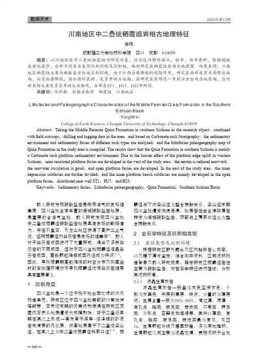 川南地区中二叠统栖霞组岩相古地理特征