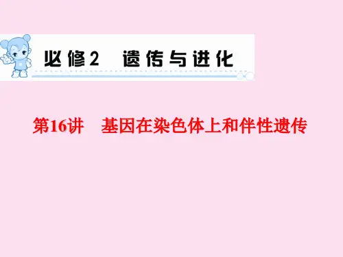 《学海导航》高三生物一轮总复习配套课件：第讲基因在染色体上和伴性遗传