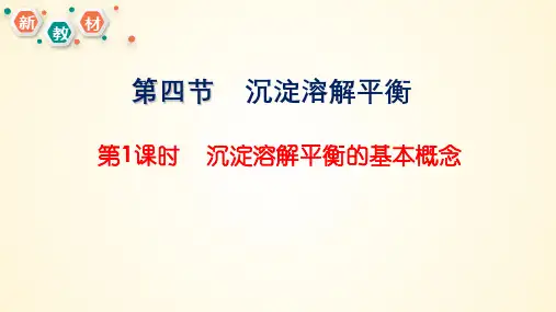 沉淀溶解平衡2023-2024学年高二化学同步精美课件(人教版2019选择性必修1)