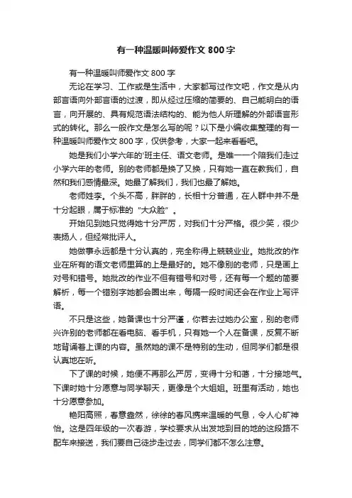 有一种温暖叫师爱作文800字