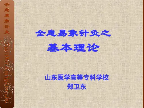 全息易象针灸-基础理论