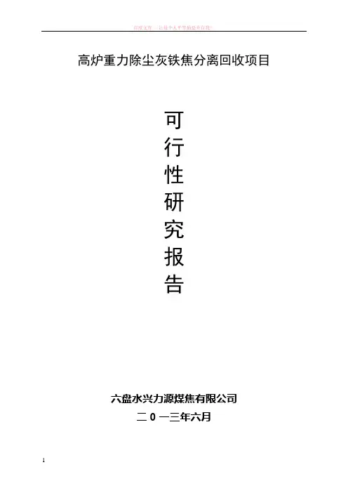 高炉重力除尘灰铁焦分离回收项目 (1)