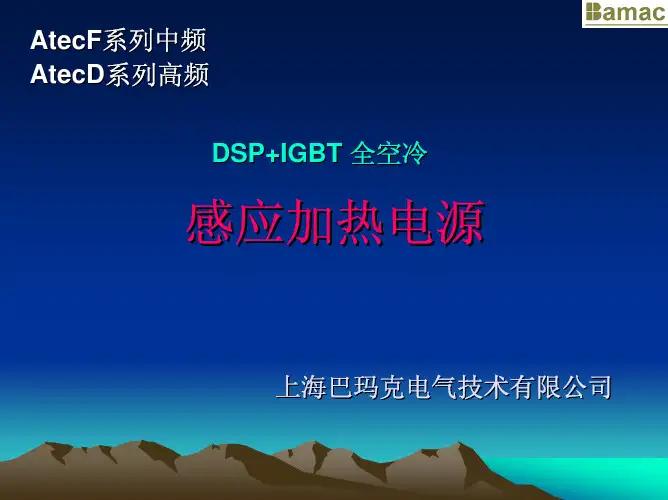Bamac感应加热电源介绍