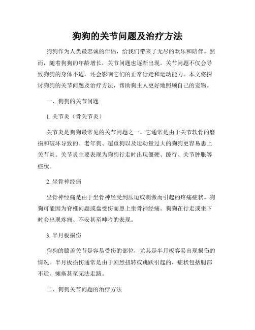 狗狗的关节问题及治疗方法