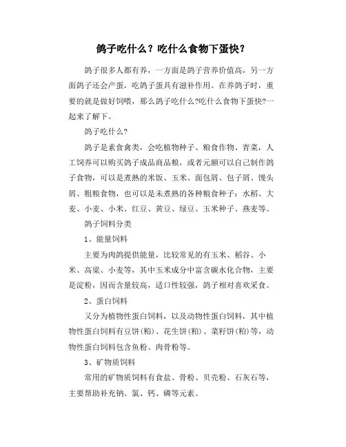鸽子吃什么？吃什么食物下蛋快？