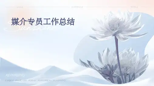 媒介专员工作总结PPT