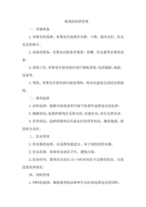 雏鸡的饲养管理