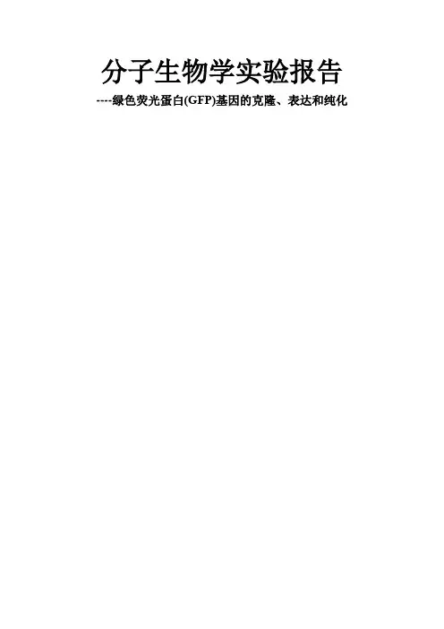 分子生物学实验报告