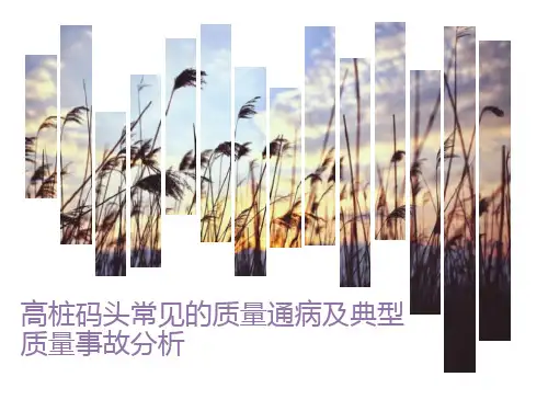 高桩码头常见的质量通病及典型质量事故分析