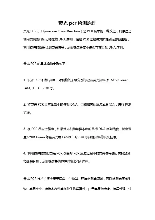 荧光pcr检测原理