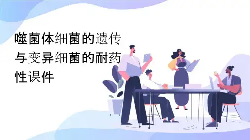 噬菌体细菌的遗传与变异细菌的耐药性课件