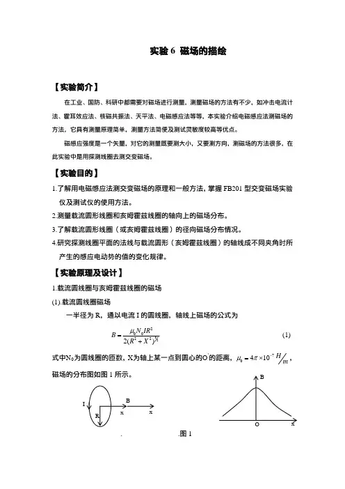 实验6磁场的描绘