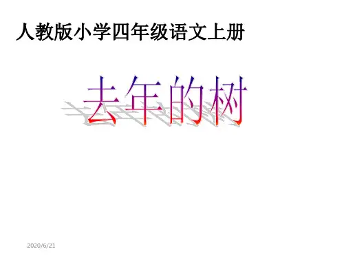 人教版四年级语文上册去年的树-课件