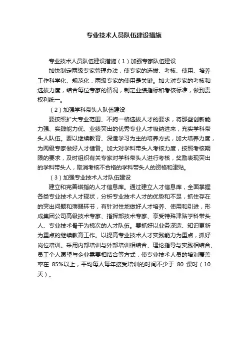 专业技术人员队伍建设措施