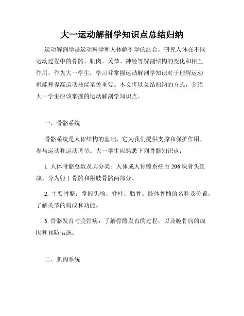 大一运动解剖学知识点总结归纳