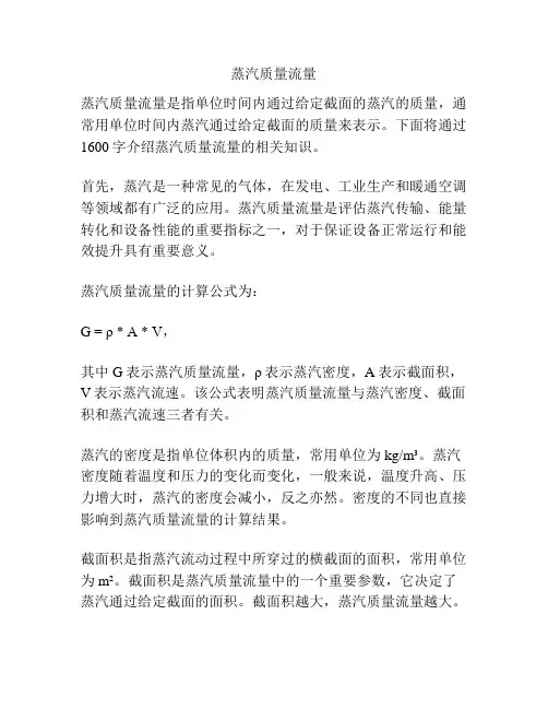 蒸汽质量流量
