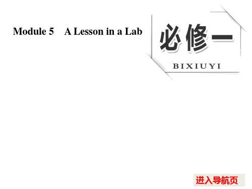 2017版《三维设计》高考英语(人教版)大一轮复习课件：必修一 Module 5 A Lesson in a Lab
