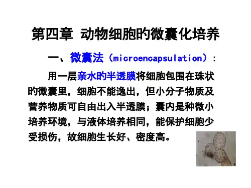 第四章-动物细胞的微囊化培养