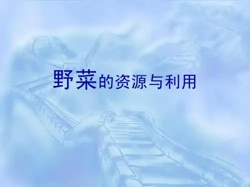 野菜的资源与利用