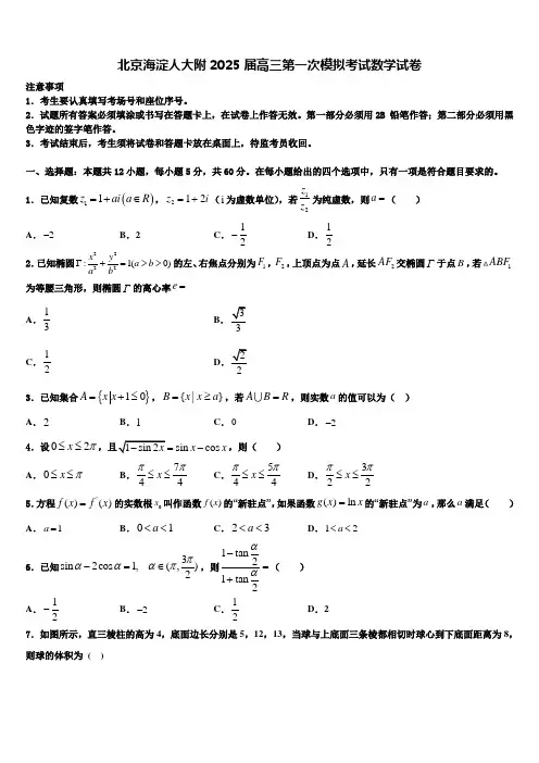 北京海淀人大附2025届高三第一次模拟考试数学试卷含解析