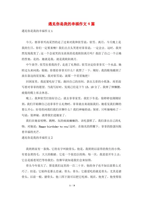 遇见你是我的幸福作文4篇