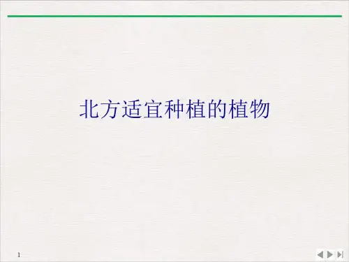 北方适宜种植的植物PPT课件