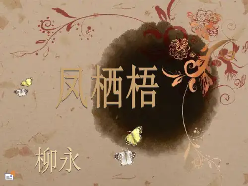 凤栖梧_柳永_ppt课件
