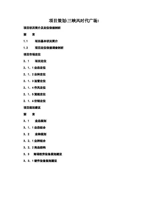 项目策划(三峡风时代广场)