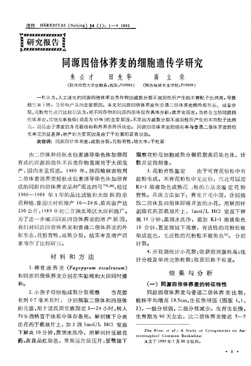 同源四倍体荞麦的细胞遗传学研究
