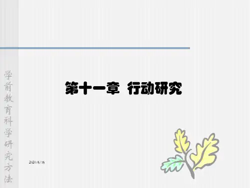 行动研究