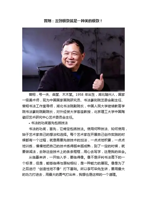 曾翔：丑到极致就是一种美的极致！