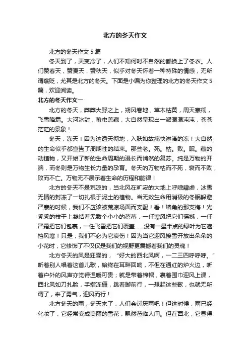 北方的冬天作文5篇