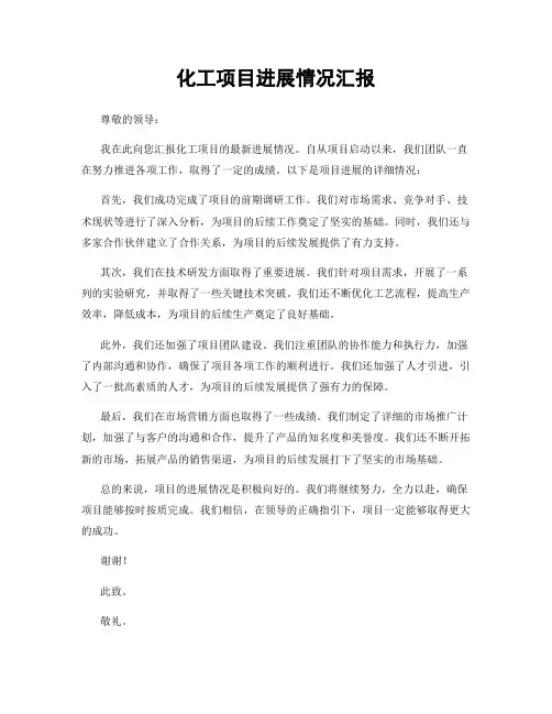 化工项目进展情况汇报