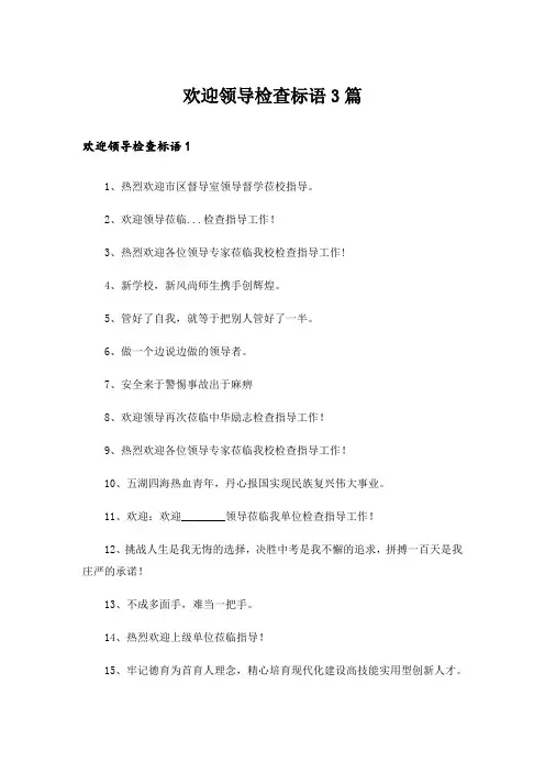 欢迎领导检查标语3篇