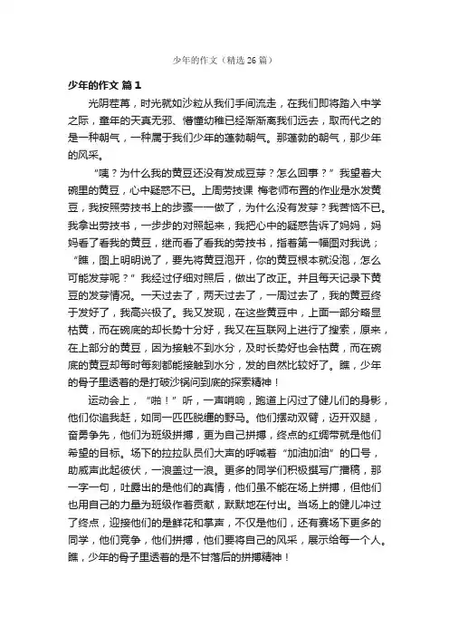 少年的作文（精选26篇）