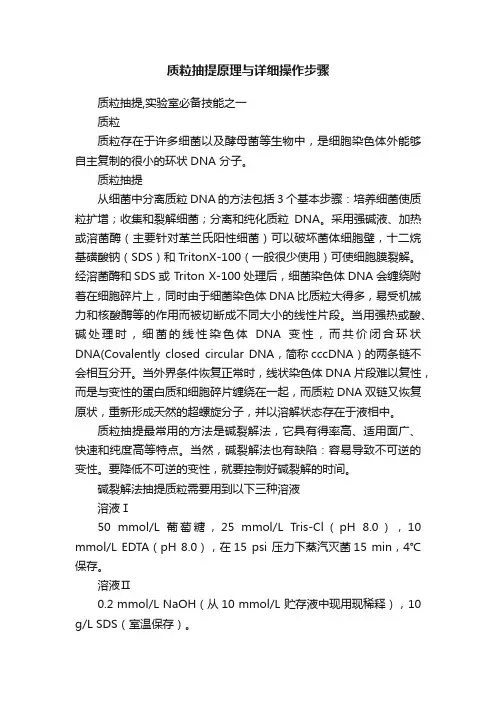质粒抽提原理与详细操作步骤