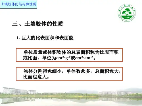 第八章 土壤胶体与土壤离子交换-胶体性质