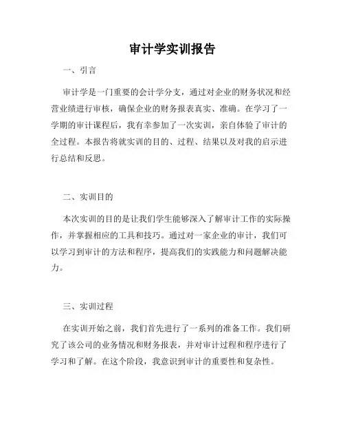 审计学实训报告