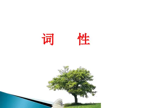 词性讲解