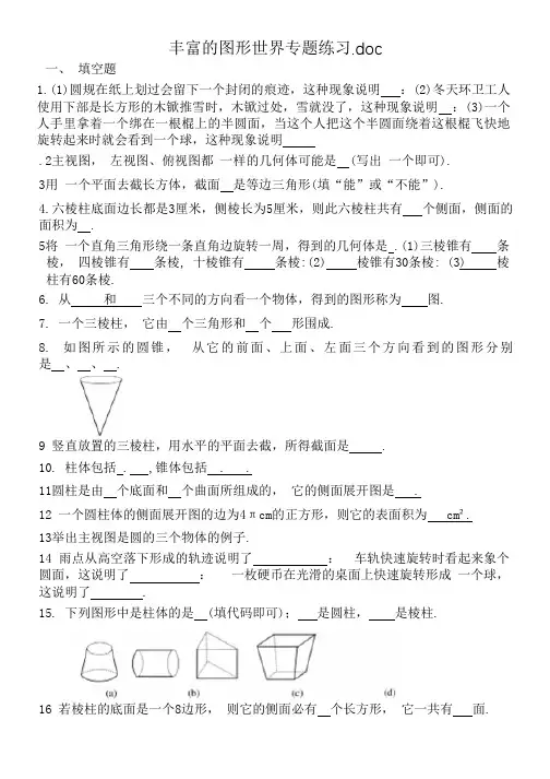 丰富的图形世界专题练习.doc