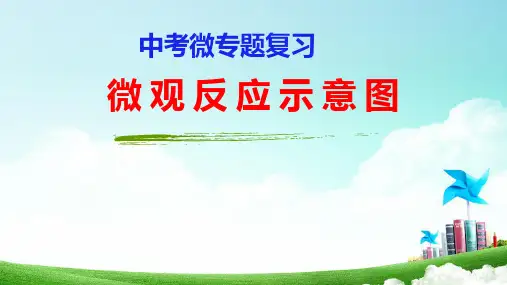 2021年中考化学二轮专题复习微观反应示意图课件(30张PPT)