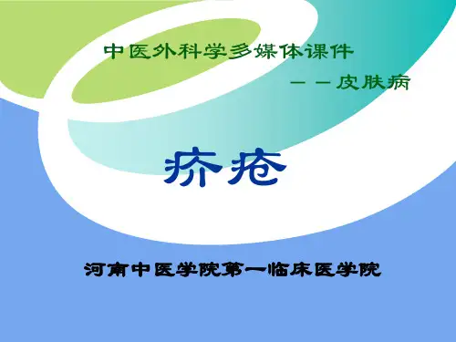 中医外科学多媒体课件--皮肤病
