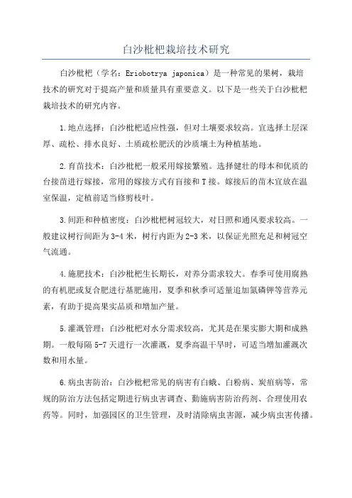 白沙枇杷栽培技术研究