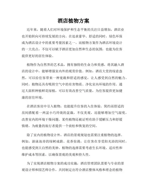 酒店植物方案