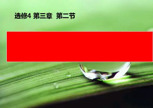 人教版选修4化学《水的电离和溶液的酸碱性》课件19ppt