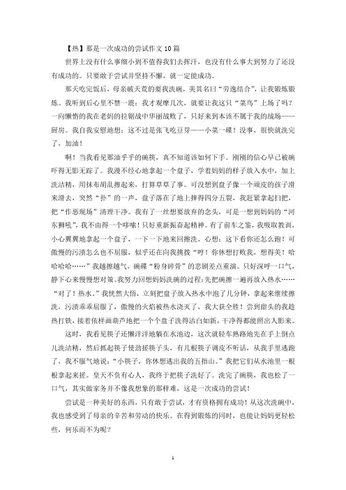 那是一次成功的尝试作文10篇(1)(精选)