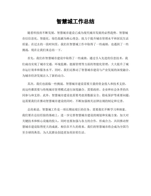 智慧城工作总结